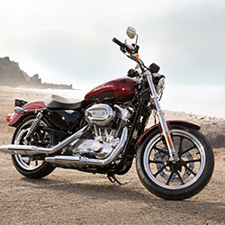 Cruiser Motorcycle
